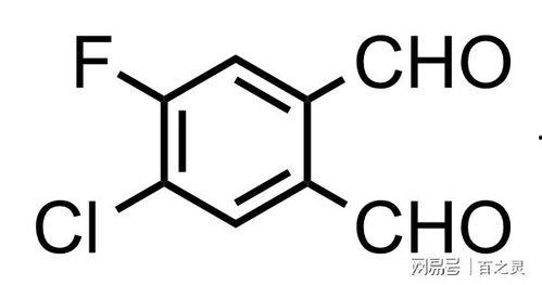 苯宝宝表情包 下载,网络潮流中的欢乐源泉