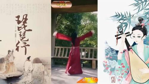 网红舞蹈 琵琶行,网红舞蹈背后的文化传承与流行魅力